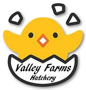 valleyfarmshatchery.com