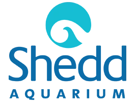 sheddaquarium.org