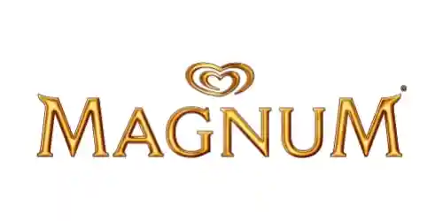 magnumicecream.com