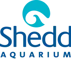 sheddaquarium.org