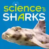 news.neaq.org